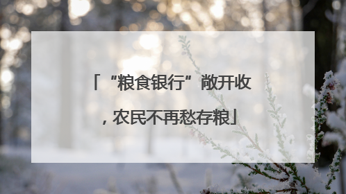 “粮食银行”敞开收，农民不再愁存粮